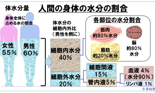 依地酸钙钠片价格表-依地酸钙钠多少钱一盒、依地酸钙钠片价格表 -依地酸钙钠的价格网